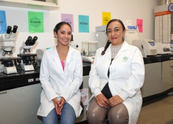 Estudiante de Biotecnología de la UAEMéx gana tres primeros lugares con proyecto sobre regeneración de médula espinal en pez cebra.