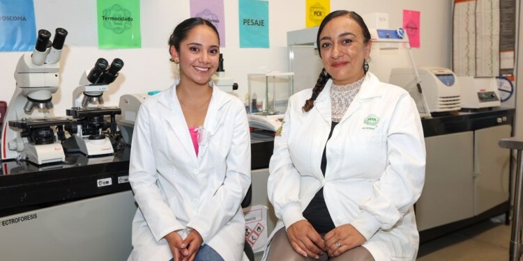 Estudiante de Biotecnología de la UAEMéx gana tres primeros lugares con proyecto sobre regeneración de médula espinal en pez cebra.