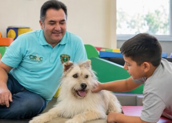 Perros que enfrentaron abandono o maltrato encuentran una nueva oportunidad en la UAEMéx.