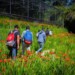 La UAEMéx realizará en Tenancingo el Festival de las Tigridias con recorridos, senderismo y actividades gratuitas del 15 al 26 de julio.